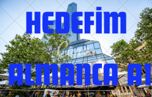 Hedefim Almanca A1 seti